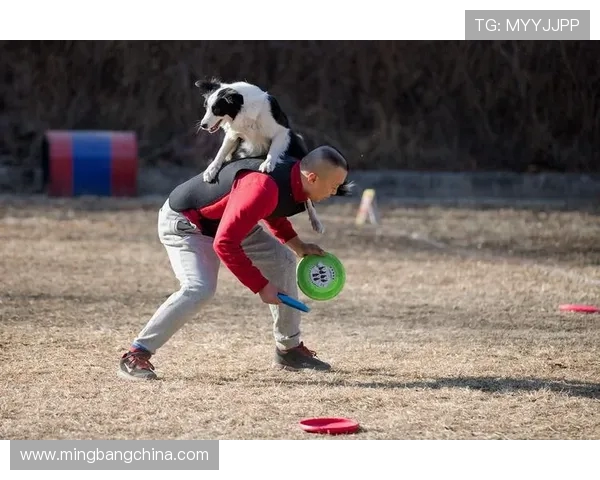 赛后分析:北京飞盘队与重庆飞盘队的耐力较量全景回顾