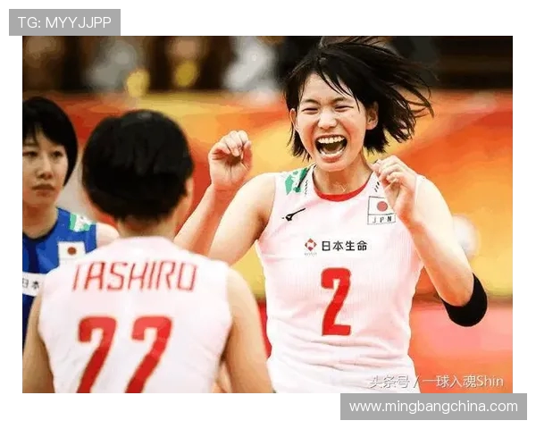 成都排球队灵活性引发热议球迷与专家观点交锋分析